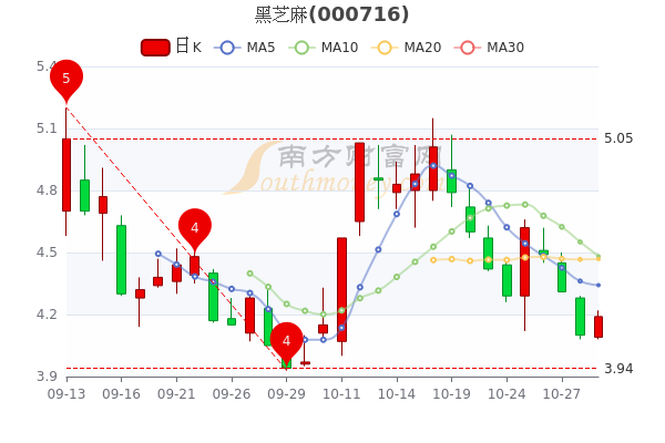 黑芝麻股票历史最高价回顾与解析，深度探讨其背后的因素