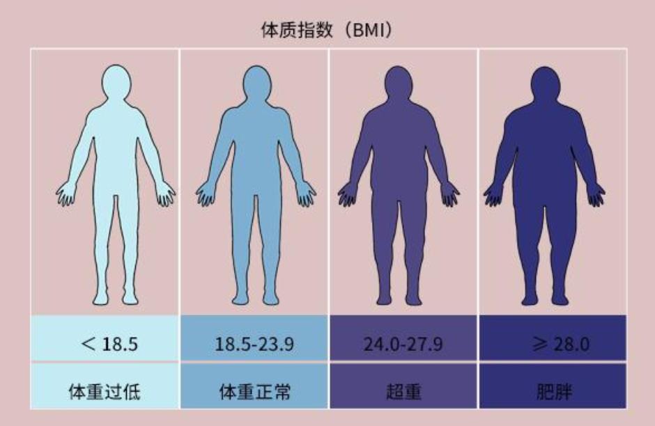 女性BMI，审美观念下的健康与美丽平衡点