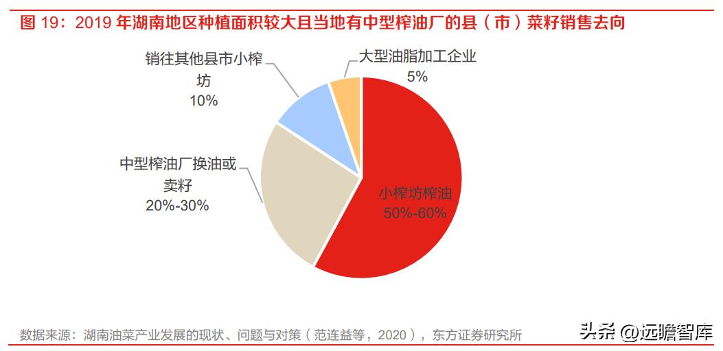 人民日报重塑角色，变革词汇的使命与担当