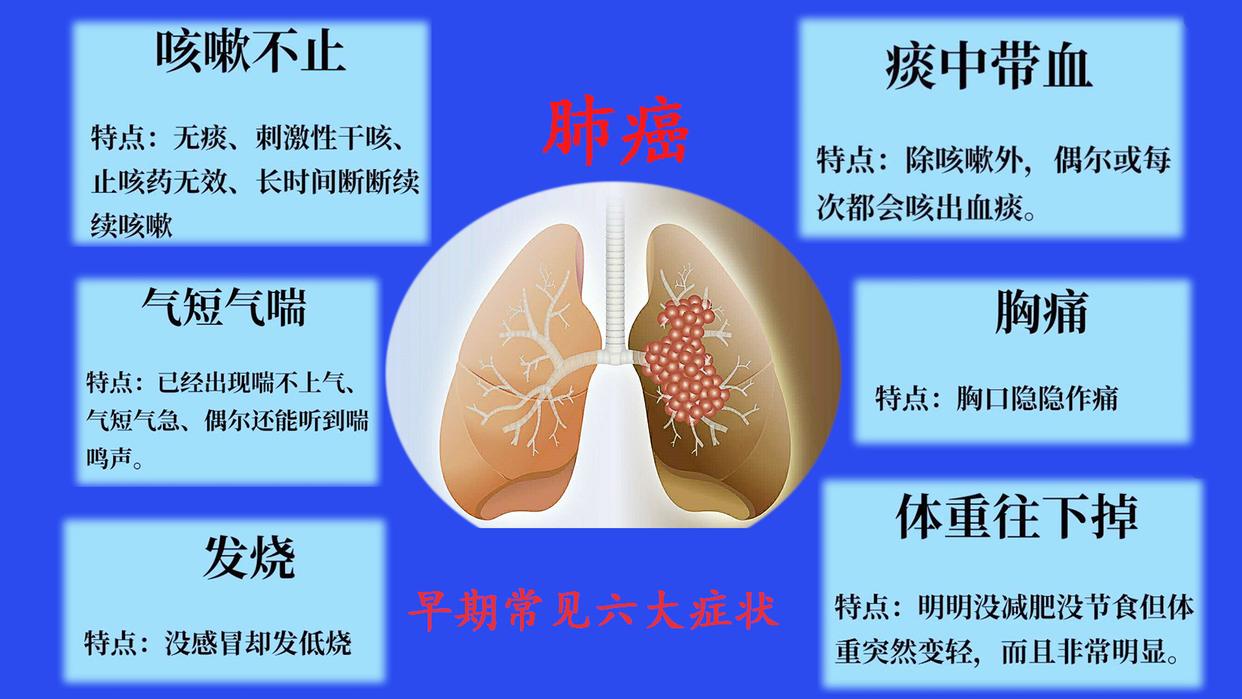 公司简介 第70页