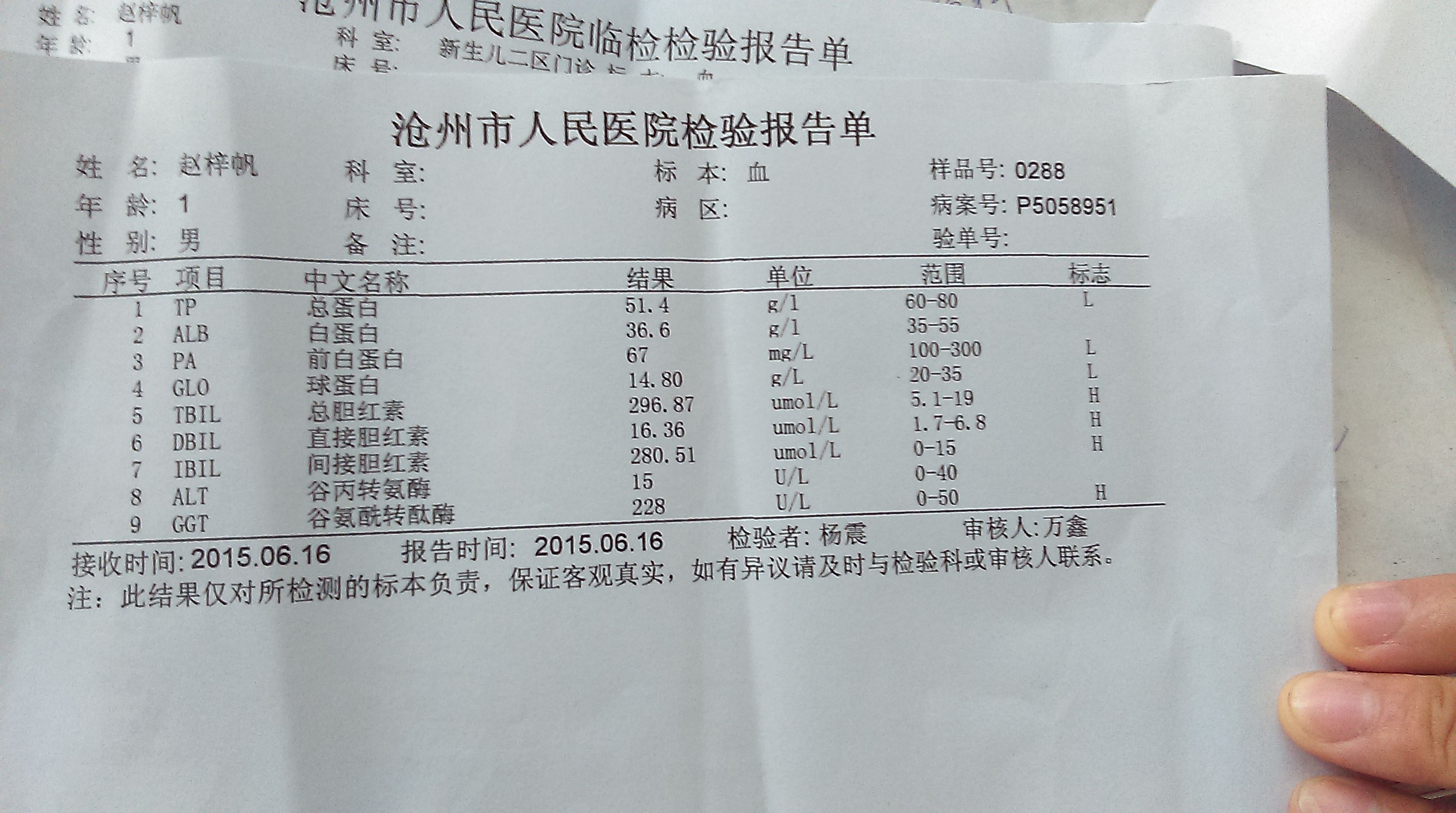 总胆红素偏高超过30，你需要知道的注意事项与一篇文章解读