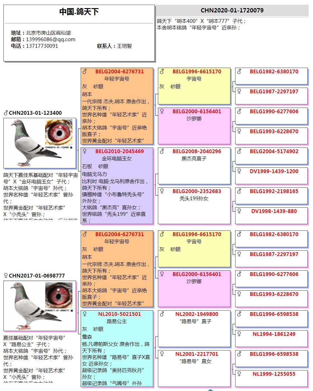 赛鸽领域的数字化探索平台——天下查鸽网