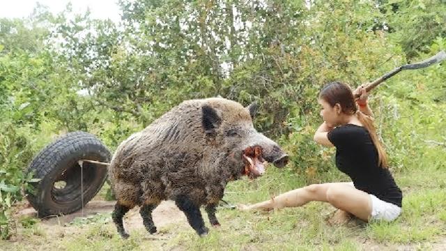 男子收养野猪改造为金猪，人与自然和谐共生的故事奇迹上演