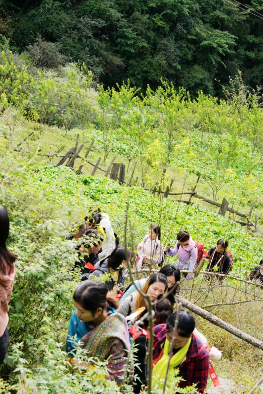 李现徒步鱼子西，探索之旅与自我挑战之路