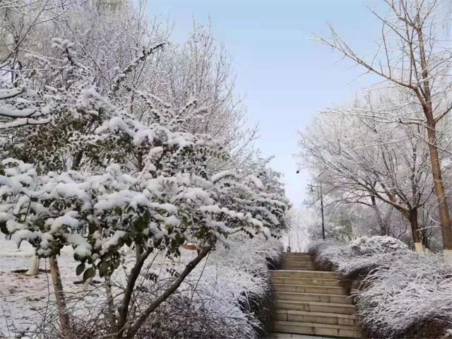 济南雪舞冬日，浪漫诗意纷飞