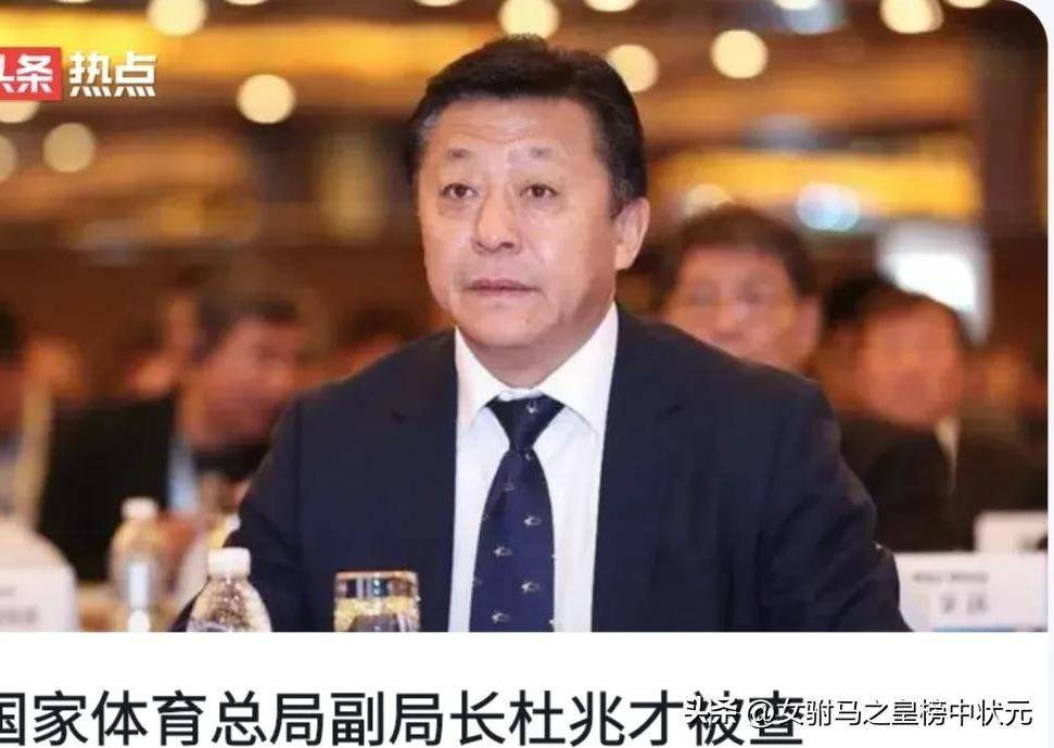 体育总局原副局长杜兆才腐败案，反思与启示