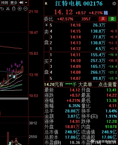 江特电机2020年盈利前景展望，展望美好未来