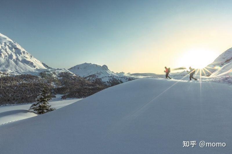 冰天雪地蕴藏金山银山，深度理解与探索之旅