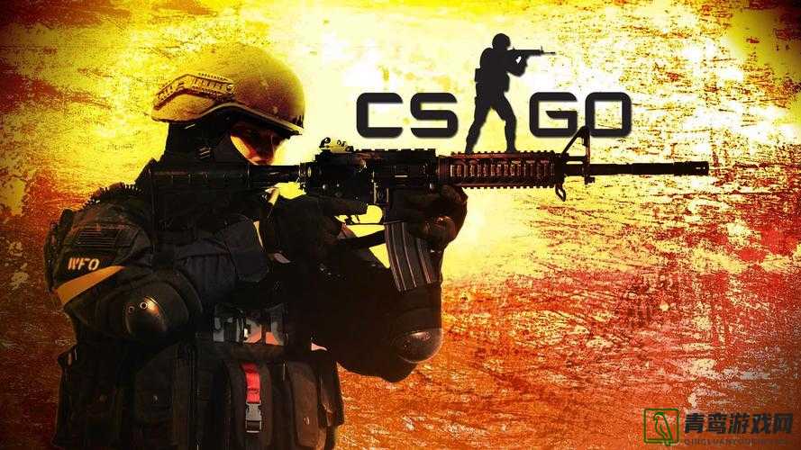 CSGO高清大片探索，免费观看的极致游戏体验