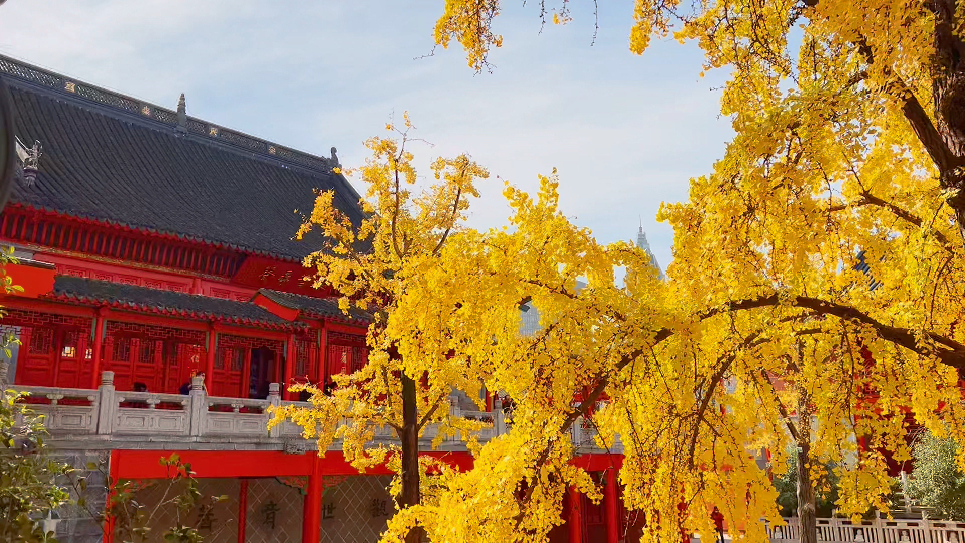 毗卢寺，古寺传奇与深邃文化之旅