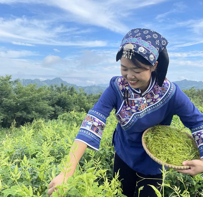 莓茶对女性的十大益处