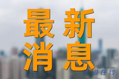 女子胆囊内惊现数百颗结石，健康警示与防治策略揭秘