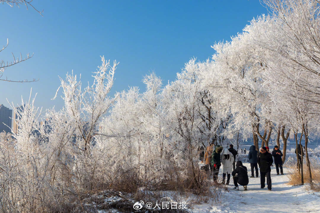 长白山冰封玫瑰，氛围之美与情感之韵