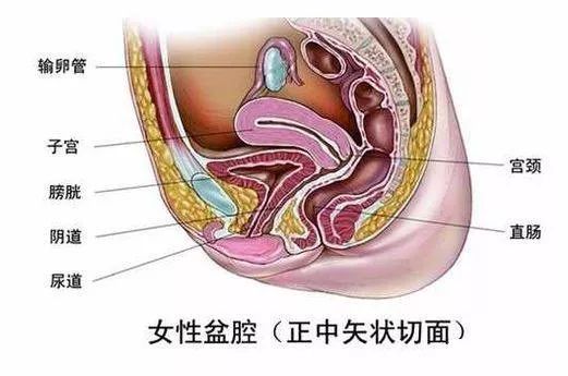 盆腔积液原因及严重性深度探讨