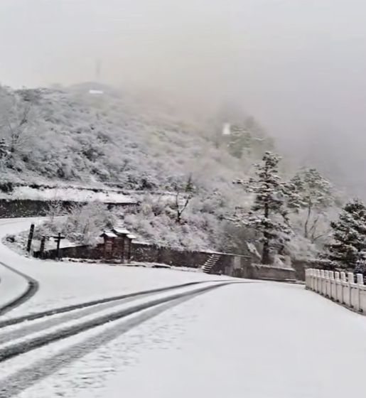 青岛雪舞冬日恋曲天气预报