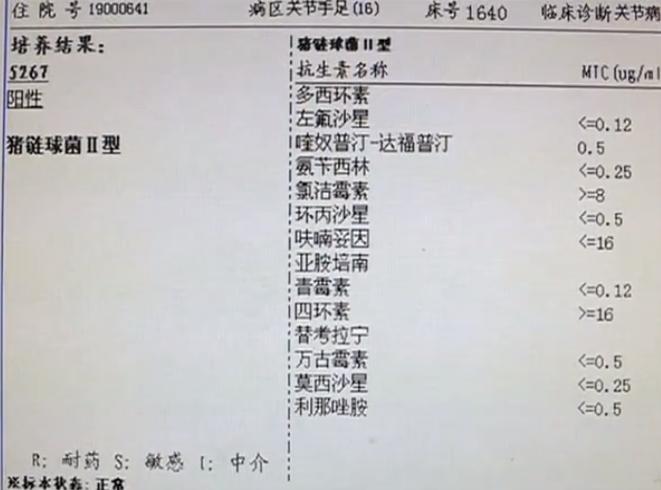 男子因食用未煮熟猪肉双耳全聋，食品安全意识敲响健康警钟