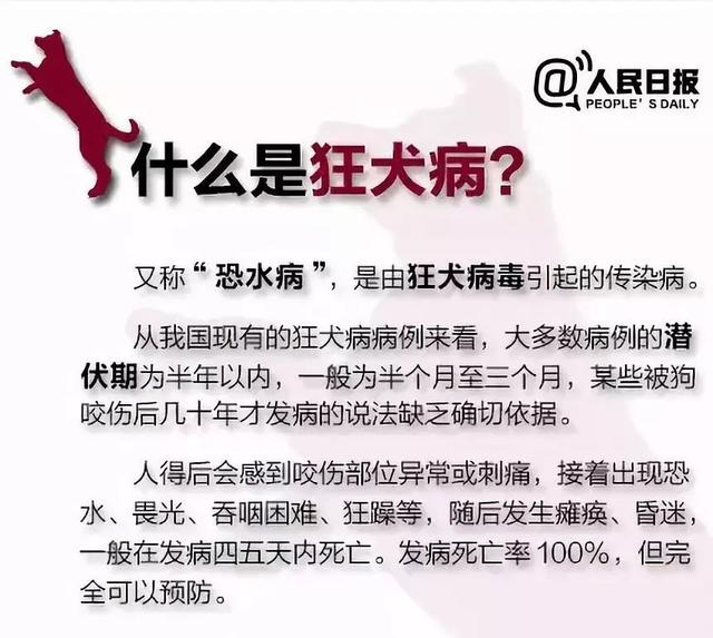 男子因狂犬病发死亡，警醒，狂犬病的危害与预防至关重要