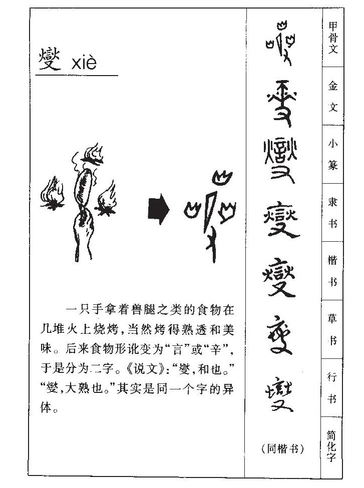 兖及其同音字的读音与用法深度解析