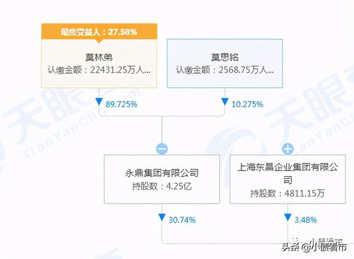 永鼎股份与可控核聚变，真相揭秘与未来展望