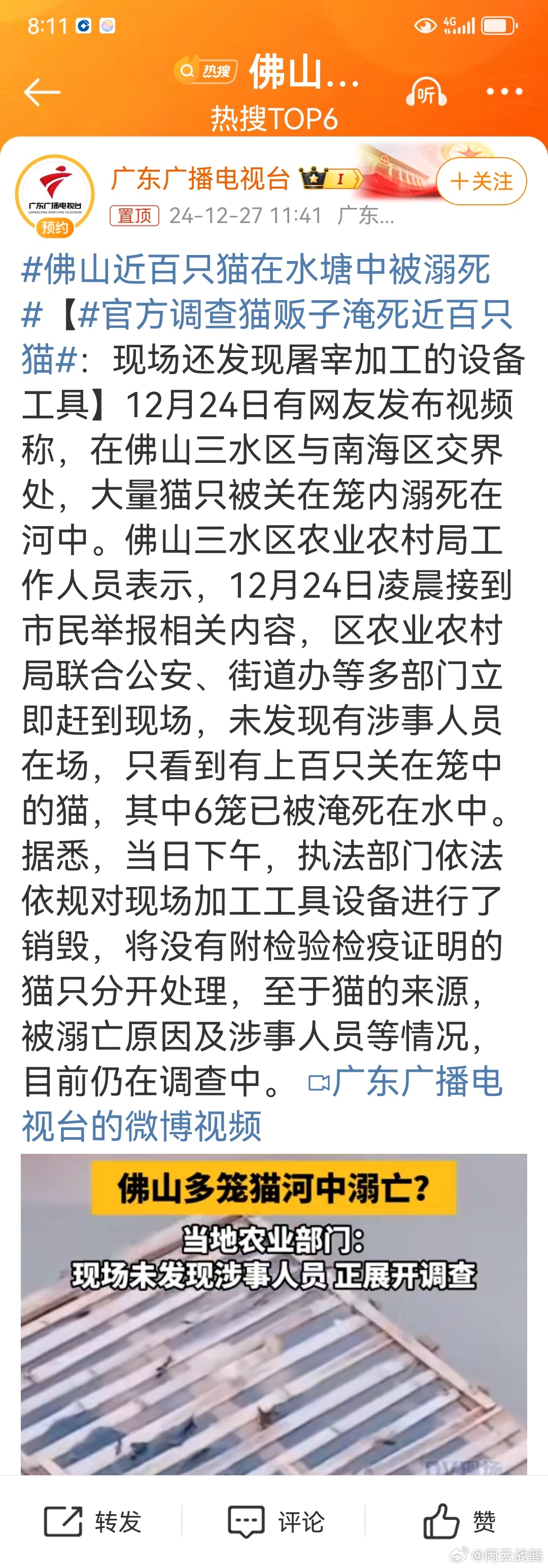 佛山水塘猫溺亡事件深度剖析，悲剧背后的真相与反思