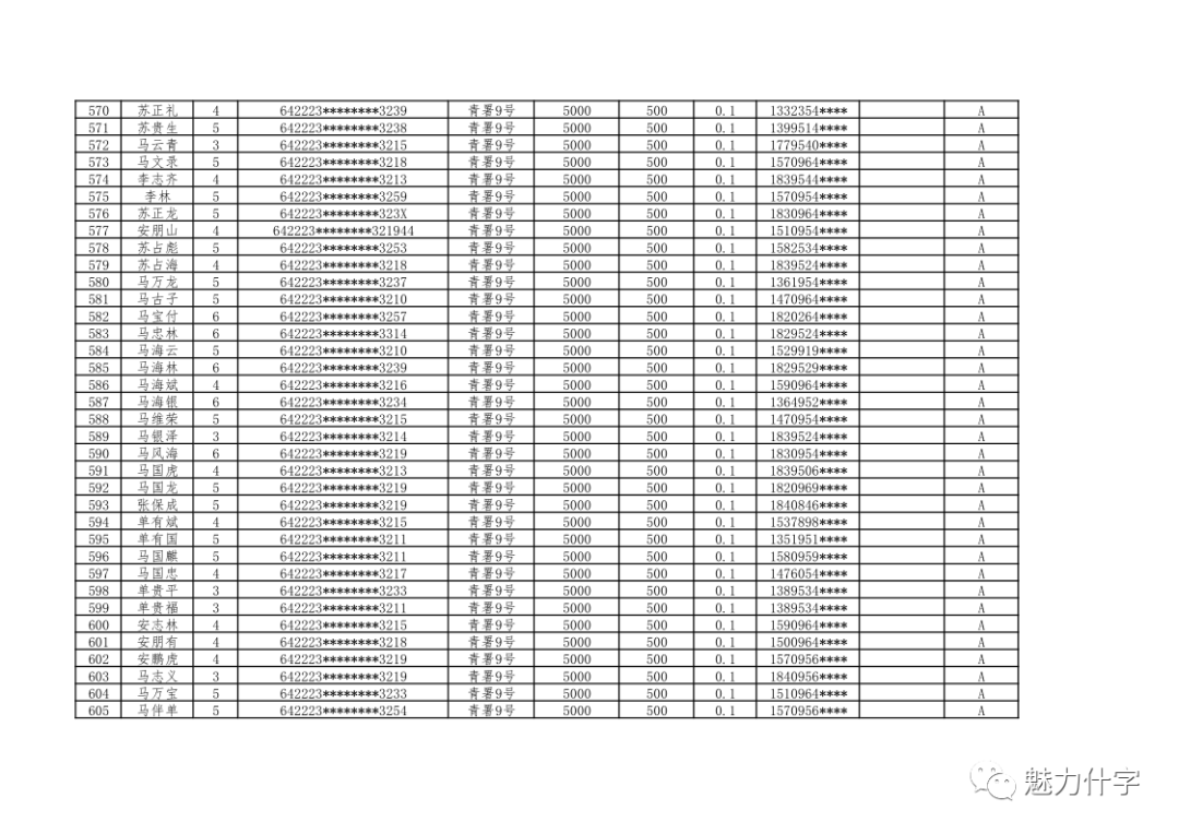 公的浮之手中字13，深意探寻与启示