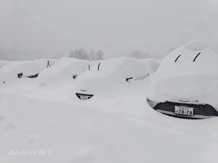 中国游客滑雪遭遇粉雪险境致悲剧，警示滑雪安全需重视