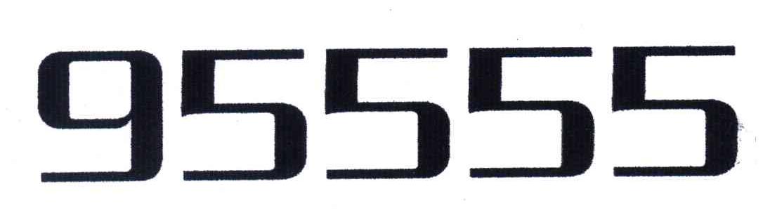 数字世界的秘密探索，95555揭秘之旅