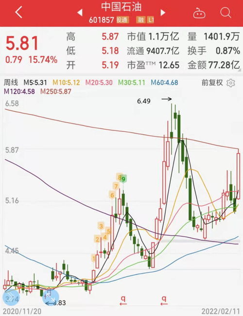 中国石油股票的市场趋势与投资洞察分析