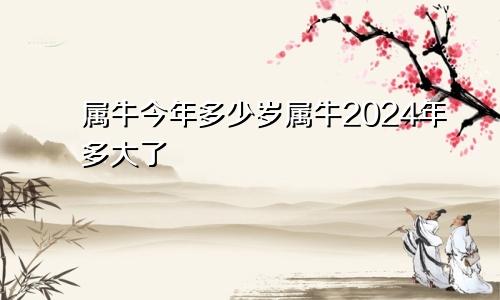 揭秘属牛人在2024年的虚岁运势及命运走势