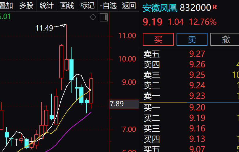 安徽凤凰股票股吧全面深度解析