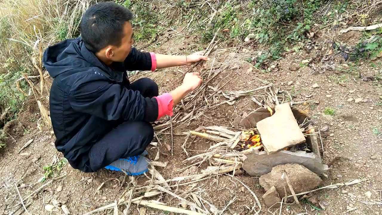 学医小伙逆境求生，食物匮乏的山上存活九天，展现生存智慧与坚韧不拔