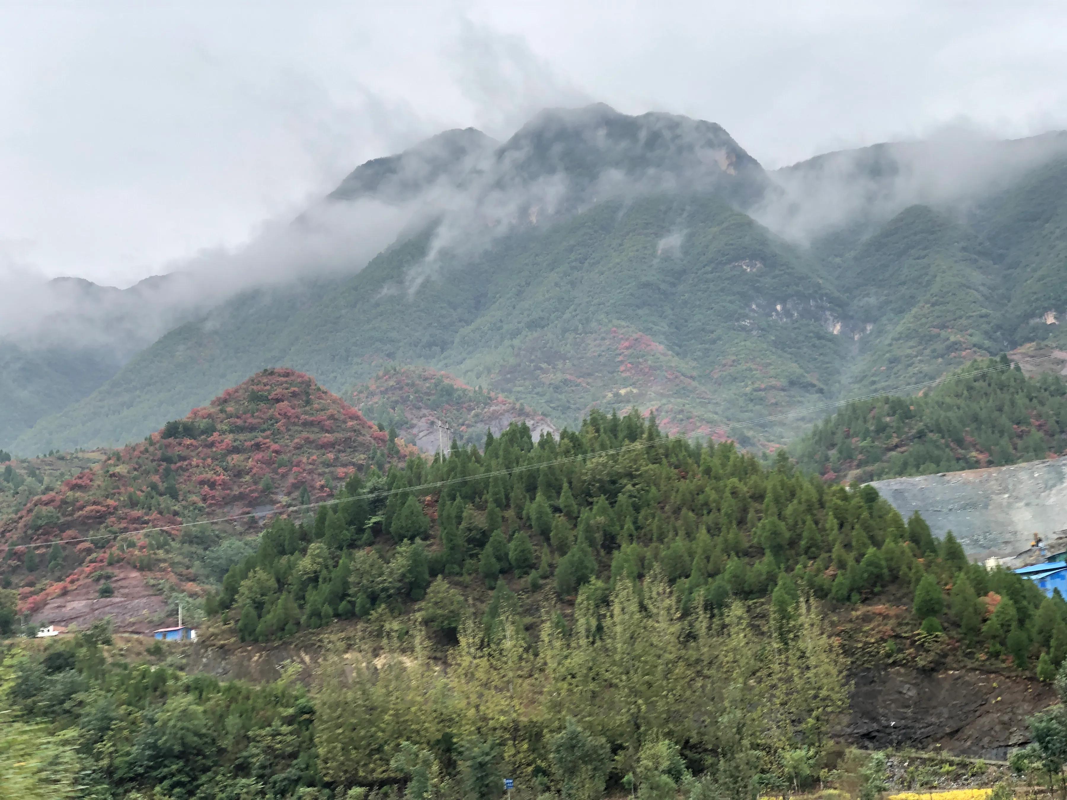 雨中美景，一场视觉盛宴