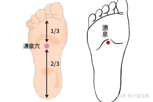 涌泉穴准确位置图解与详解