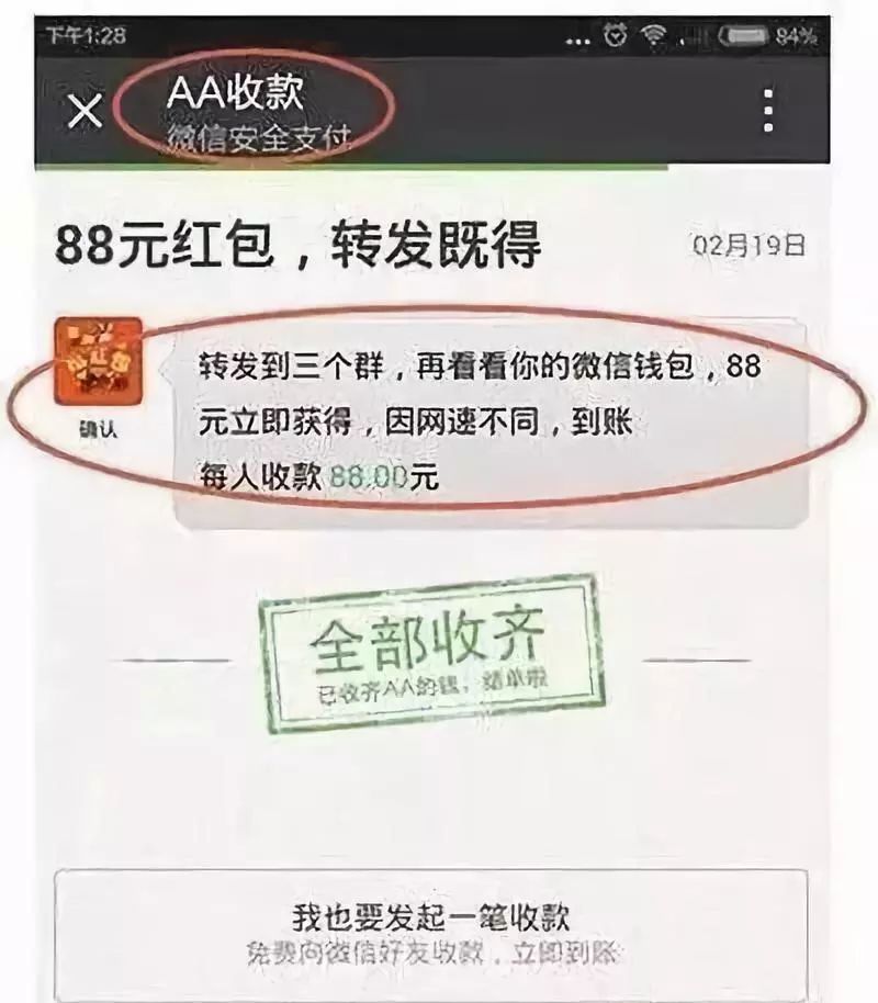 揭秘，神秘数字组合4000595558的真实身份揭晓