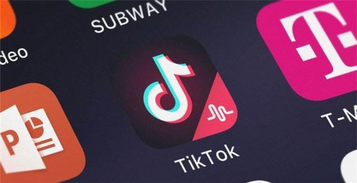 TikTok禁锢下的美国网友新征程，小红书成新社交舞台