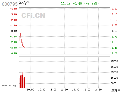 英洛华（股票代码，000795）深度解析——同花顺股吧探讨