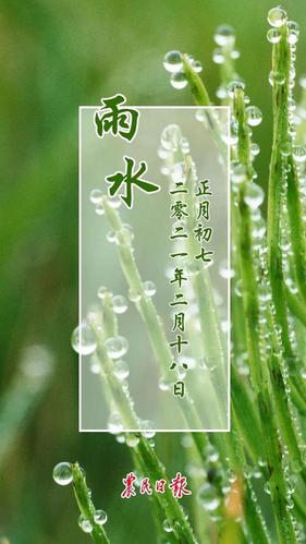 雨水节气，传统智慧与气候变迁的交汇解读