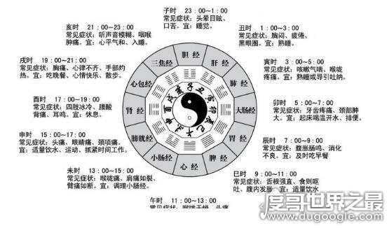 辰时光影魅力探寻之旅