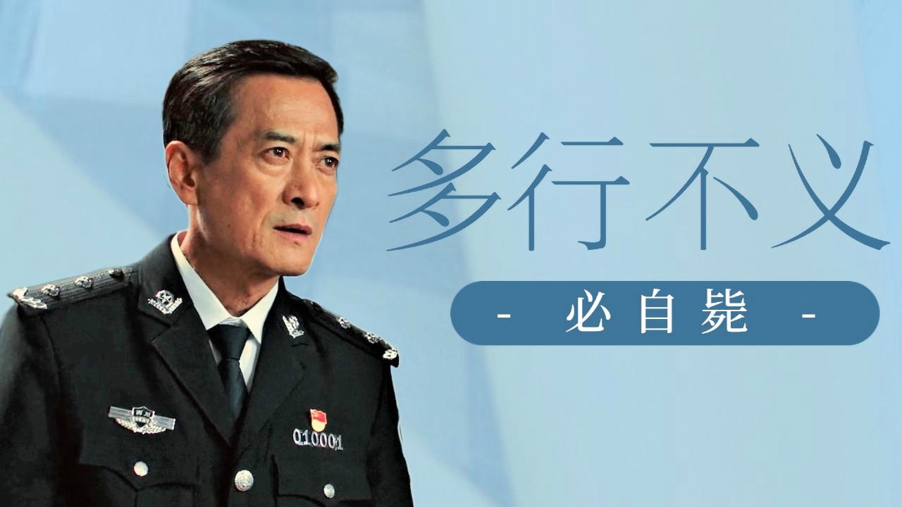 王毅表态，坚决打击犯罪，不容犯罪分子逍遥法外