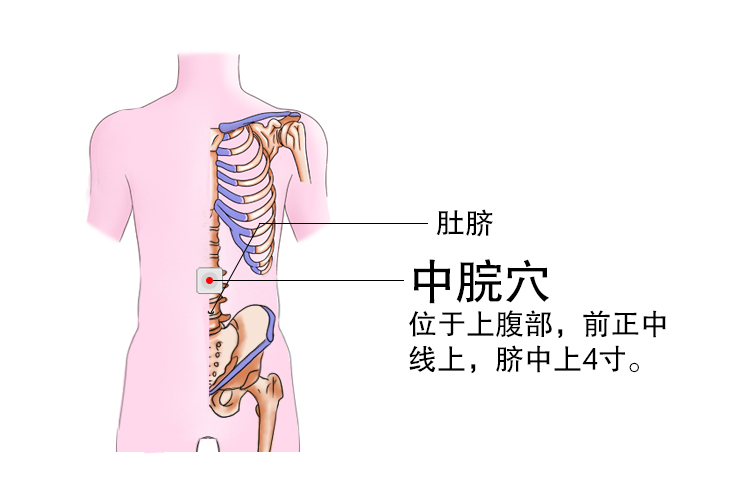 中脘准确位置图解，快速定位法及图片展示