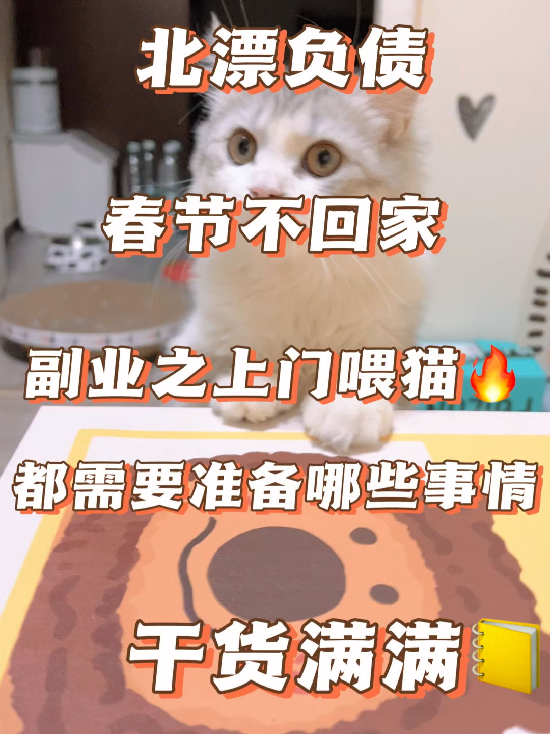 春节上门喂猫服务火爆，新型职业带来丰厚收入与机遇