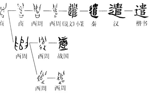 遣组词探究，词语背后的深层含义与奥秘