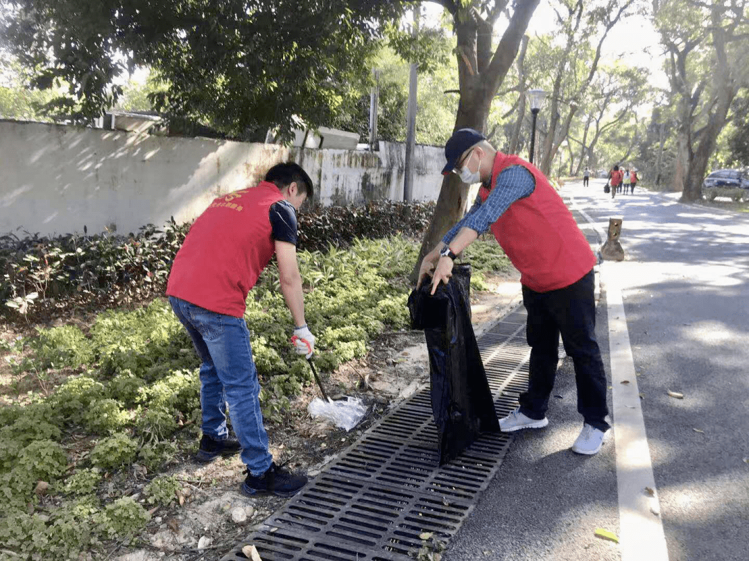 村民集体清扫回村路，温暖归途迎亲情之旅