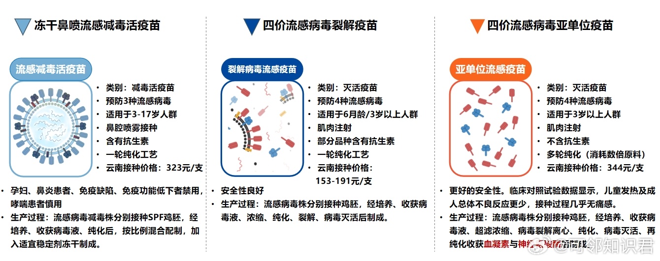 甲流防控关键期，黄金48小时起算时间与防控策略探讨