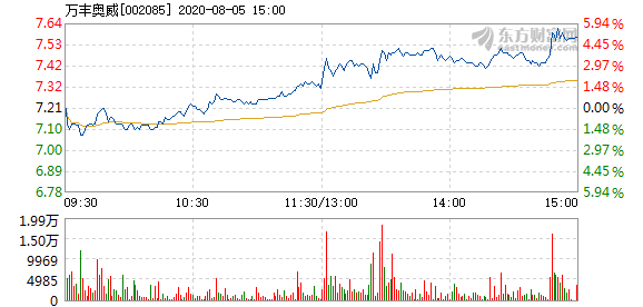 万丰奥威未来五年展望，前景展望与发展路径分析