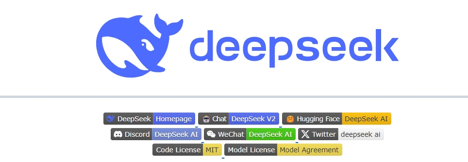 DeepSeek，小力创造奇迹的时代见证