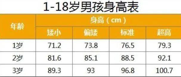 掌握儿童健康指标，BMI计算器的重要性与应用