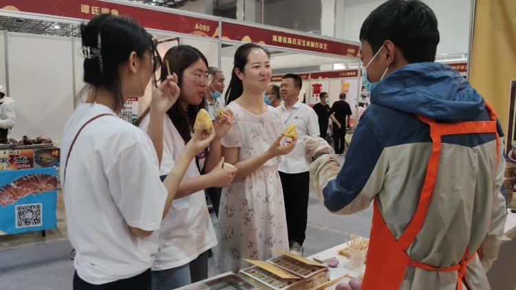 凡人修仙传，奇幻修仙之旅的完整免费观看