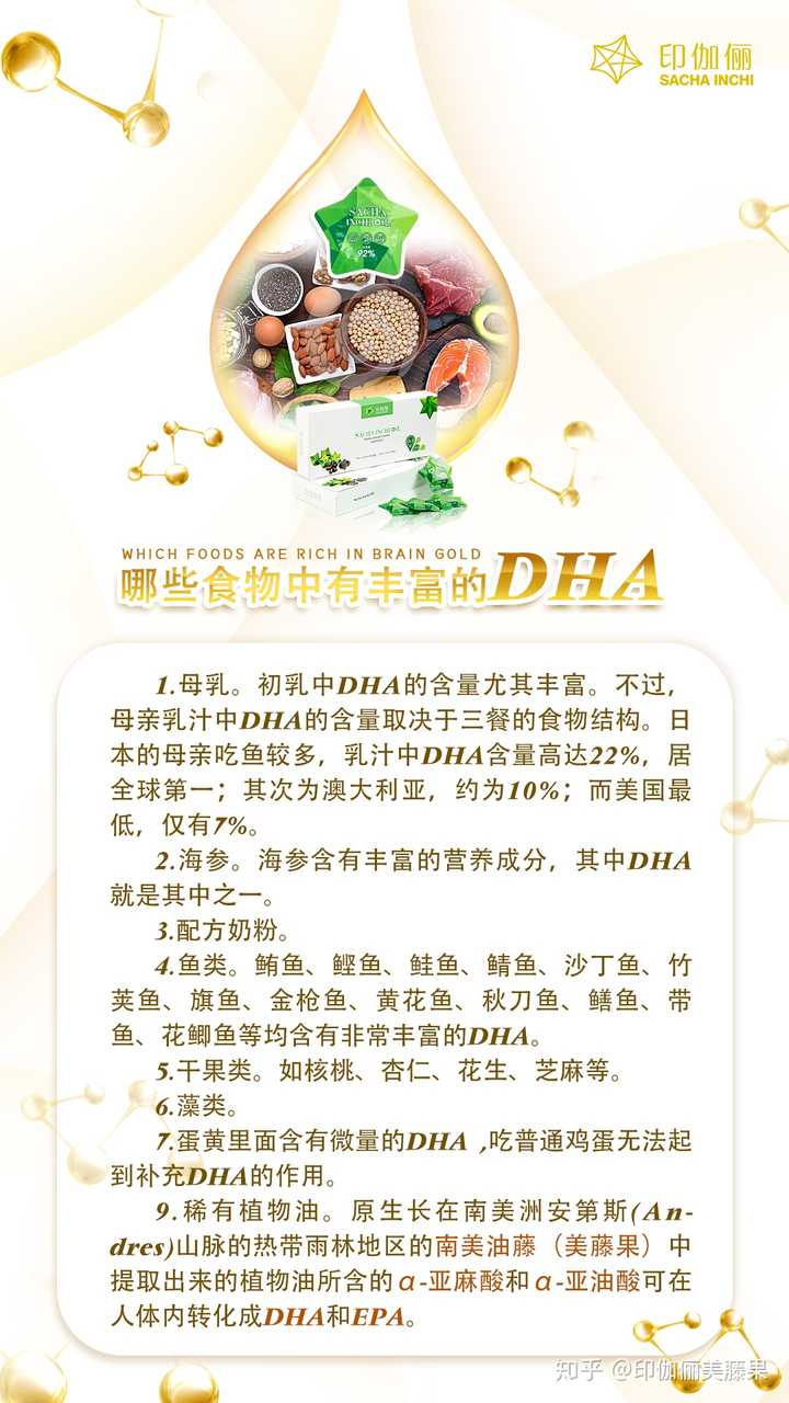 DHA益智仁，功效与作用深度研究