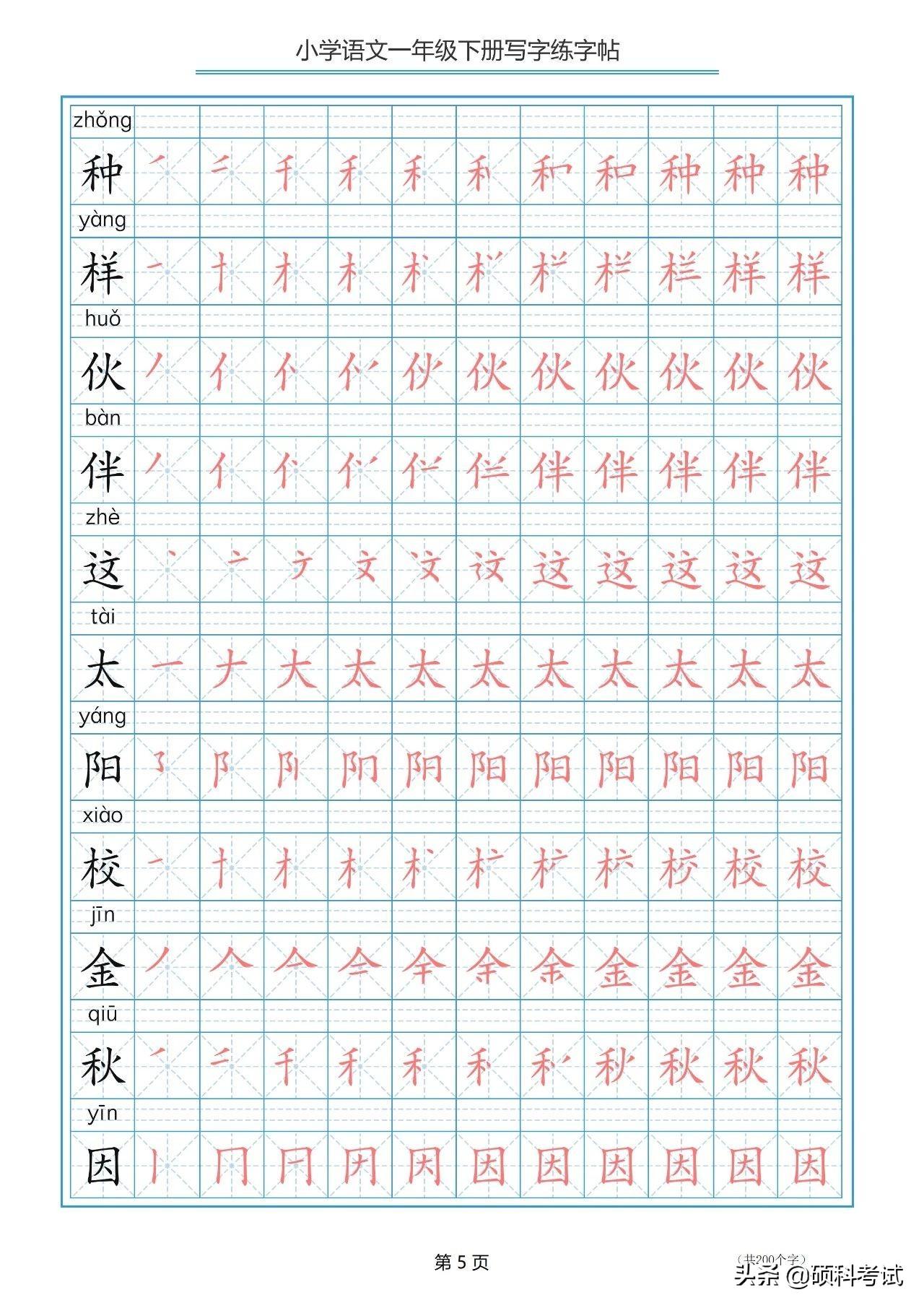 掌握汉字之美，探究笔顺与正确书写之道